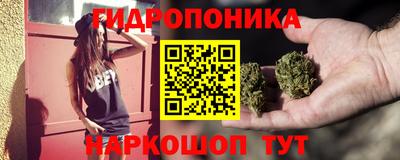 не бодяженный Кингисепп