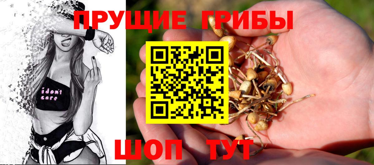 Псилоцибиновые грибы Magic Shrooms  Вход с VPN  Дубна  Галлюциногенные грибы мицелий 